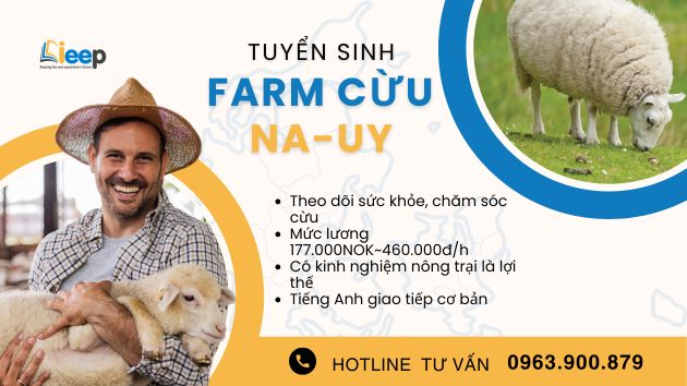 Tuyển sinh farm cừu nauuy.jpg